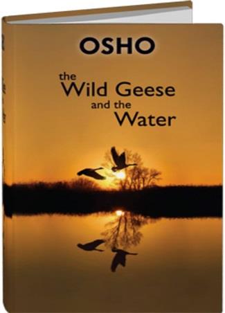 The Wild Geese And The Water